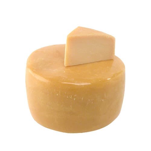 queso parmesano trozo
